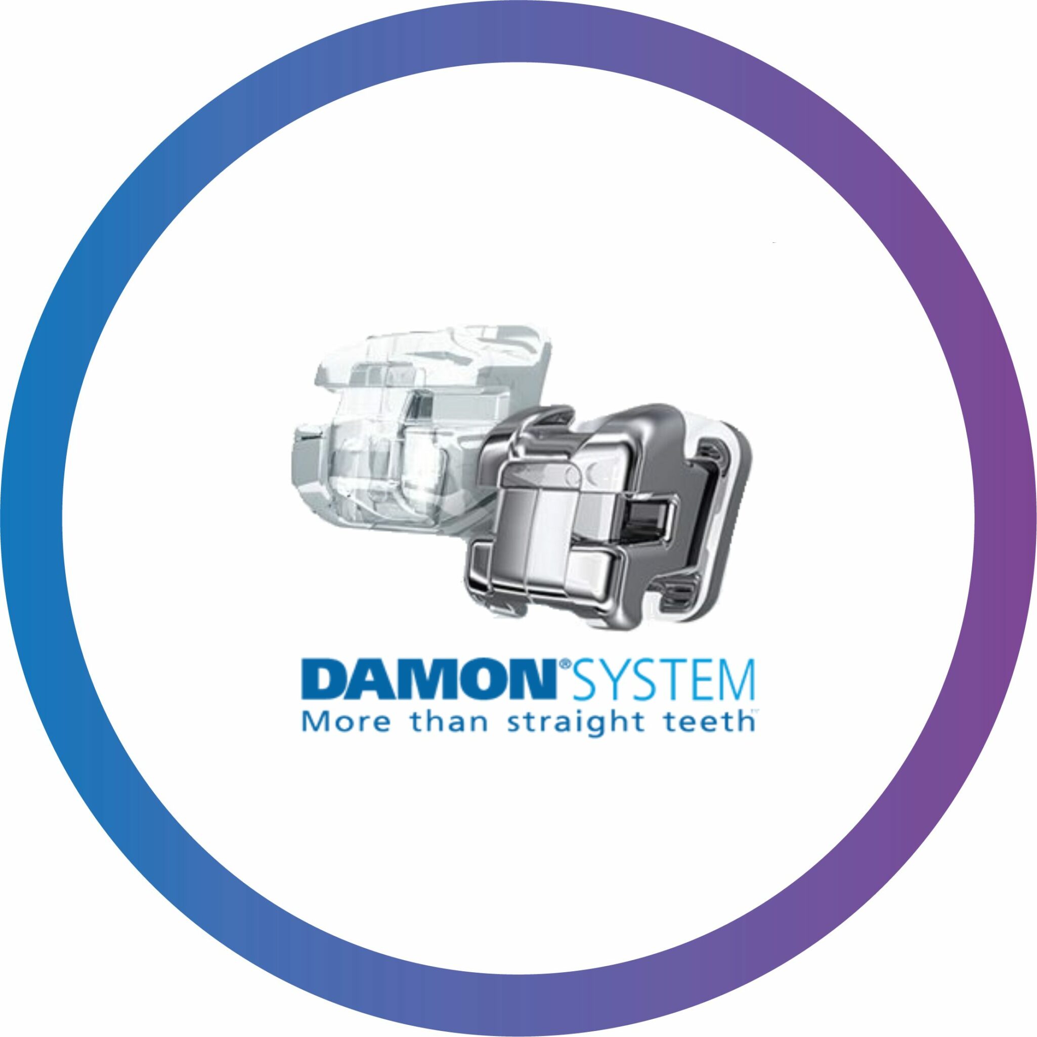 Certification Damon System